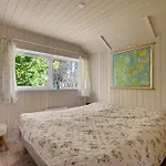 Newer In Surroundings *