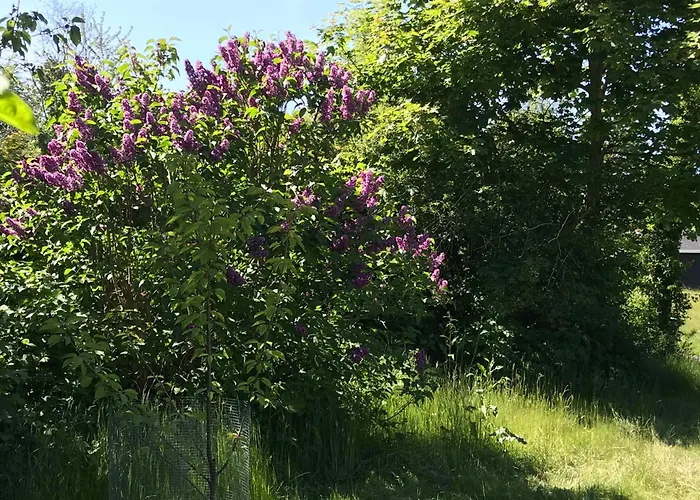 Newer In Surroundings Casa vacanze